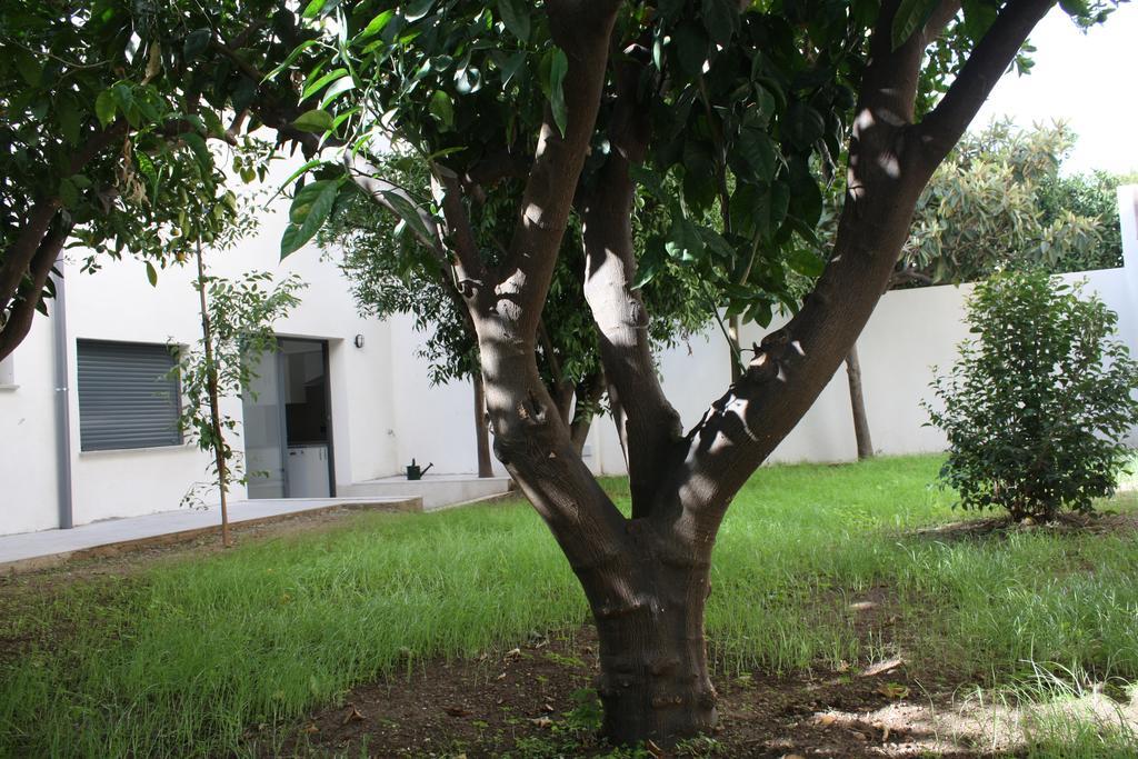 Residencia Mayol - Adults Only Palma de Maiorca Quarto foto